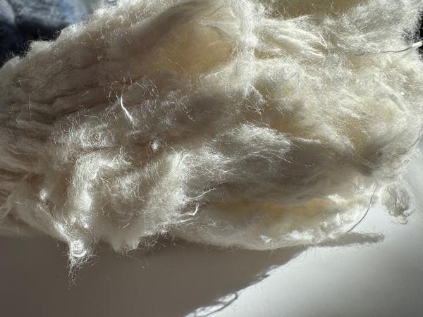 Fibers